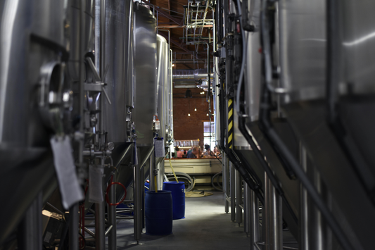 A Guide to Dorking Brewery Beer