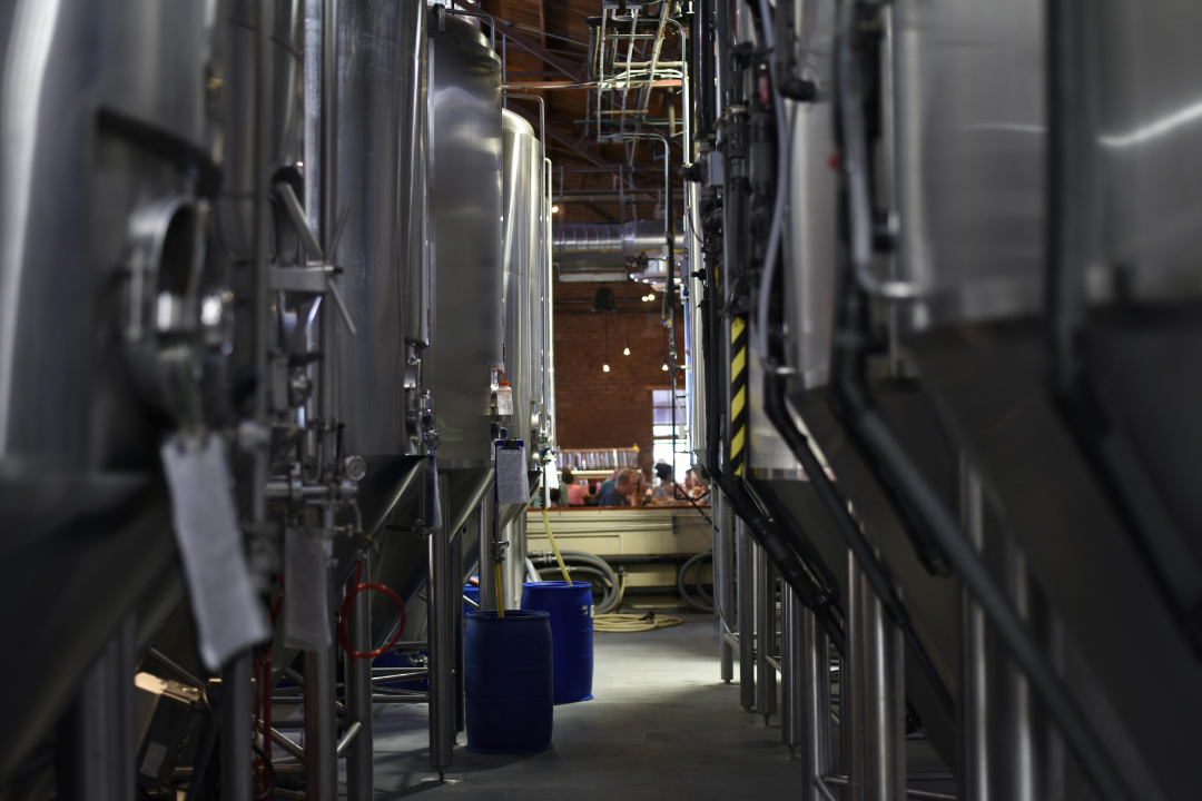 A Guide to Dorking Brewery Beer