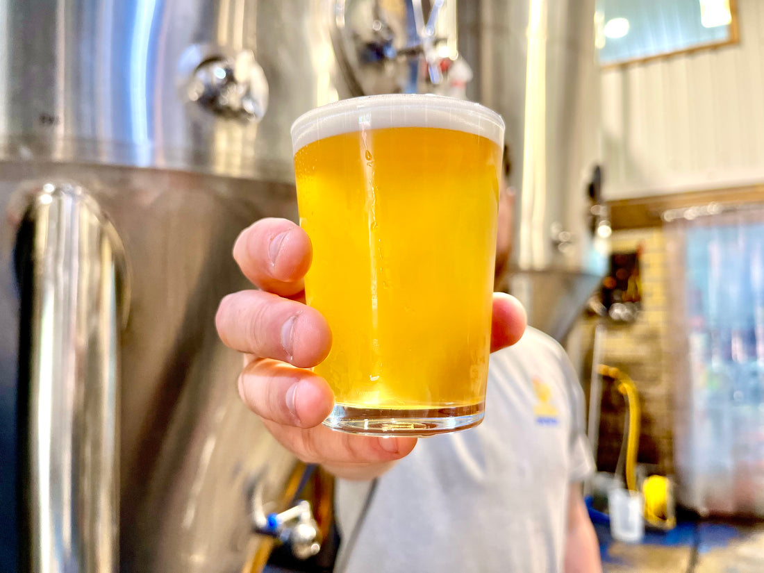 From Grain to Glass: A Journey into Craft Beer